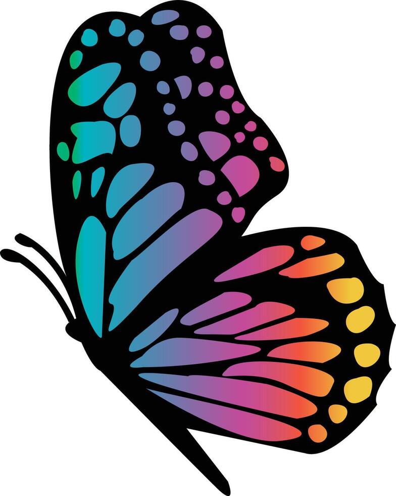 A beautiful butterfly with rainbow colors is gracefully flying against a plain white backdrop vector