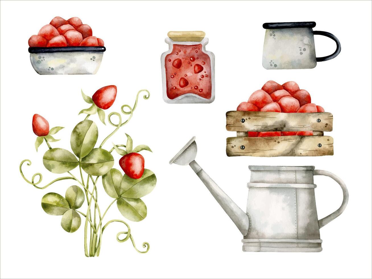 Hand-drawn, watercolor set with bright strawberry bush, wooden rustic box with strawberries, plate with strawberries, watering can and jar of jam. Cartoon berries illustration, in kids style vector