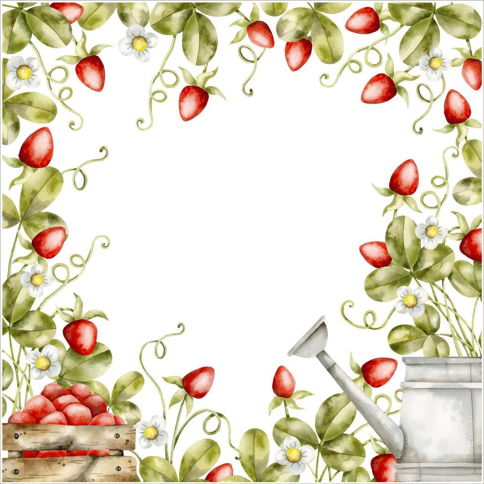 Hand-drawn, watercolor frame with strawberry bushes, wooden box of strawberries and watering can. Harvesting strawberries. Cartoon berries illustration, in kids style vector