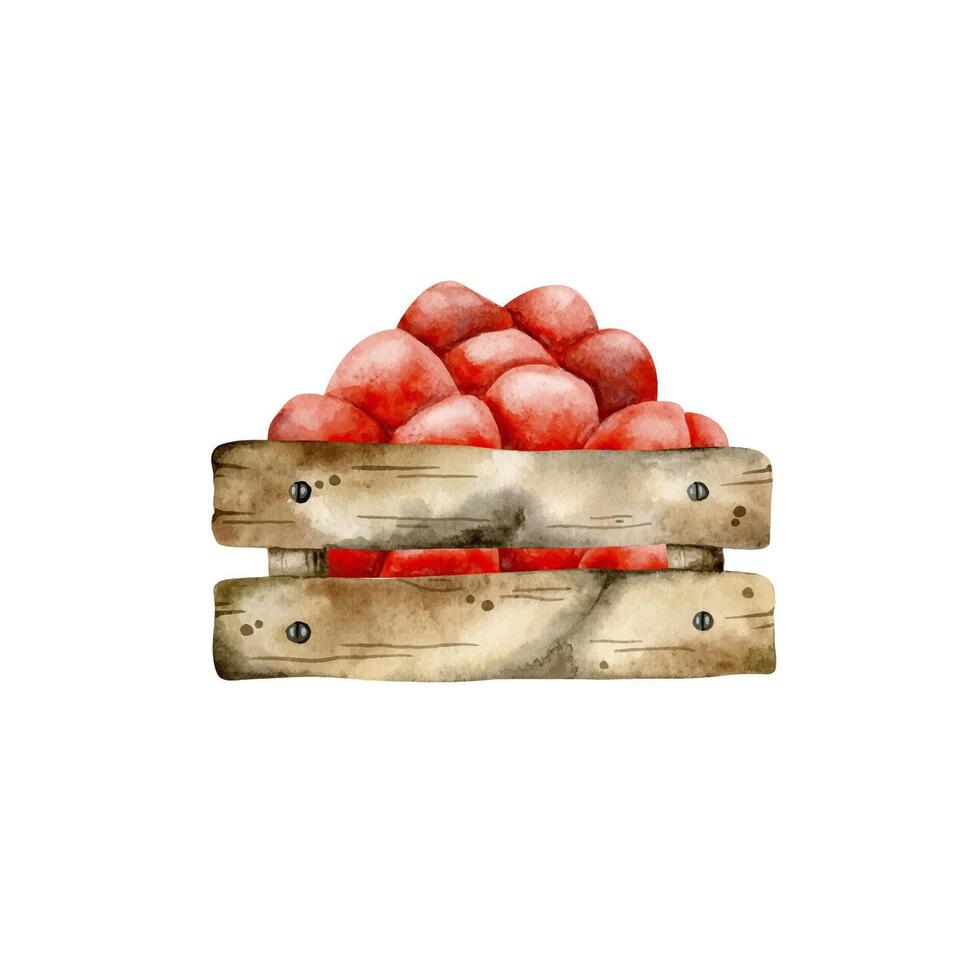 Hand-drawn, watercolor illustration with wooden, rustic box with strawberries. Cartoon berries illustration, in kids style vector