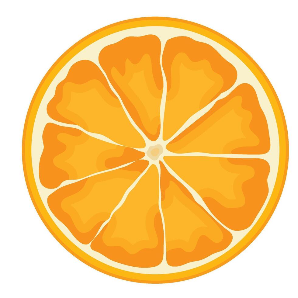 A Half Slice of Orange Fruit Illustration vector