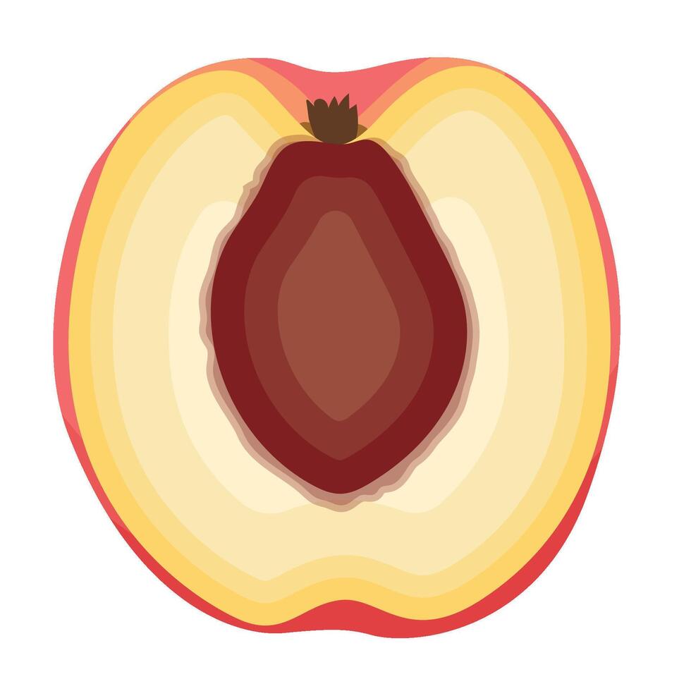 A Half Slice of Peach Fruit Illustration vector
