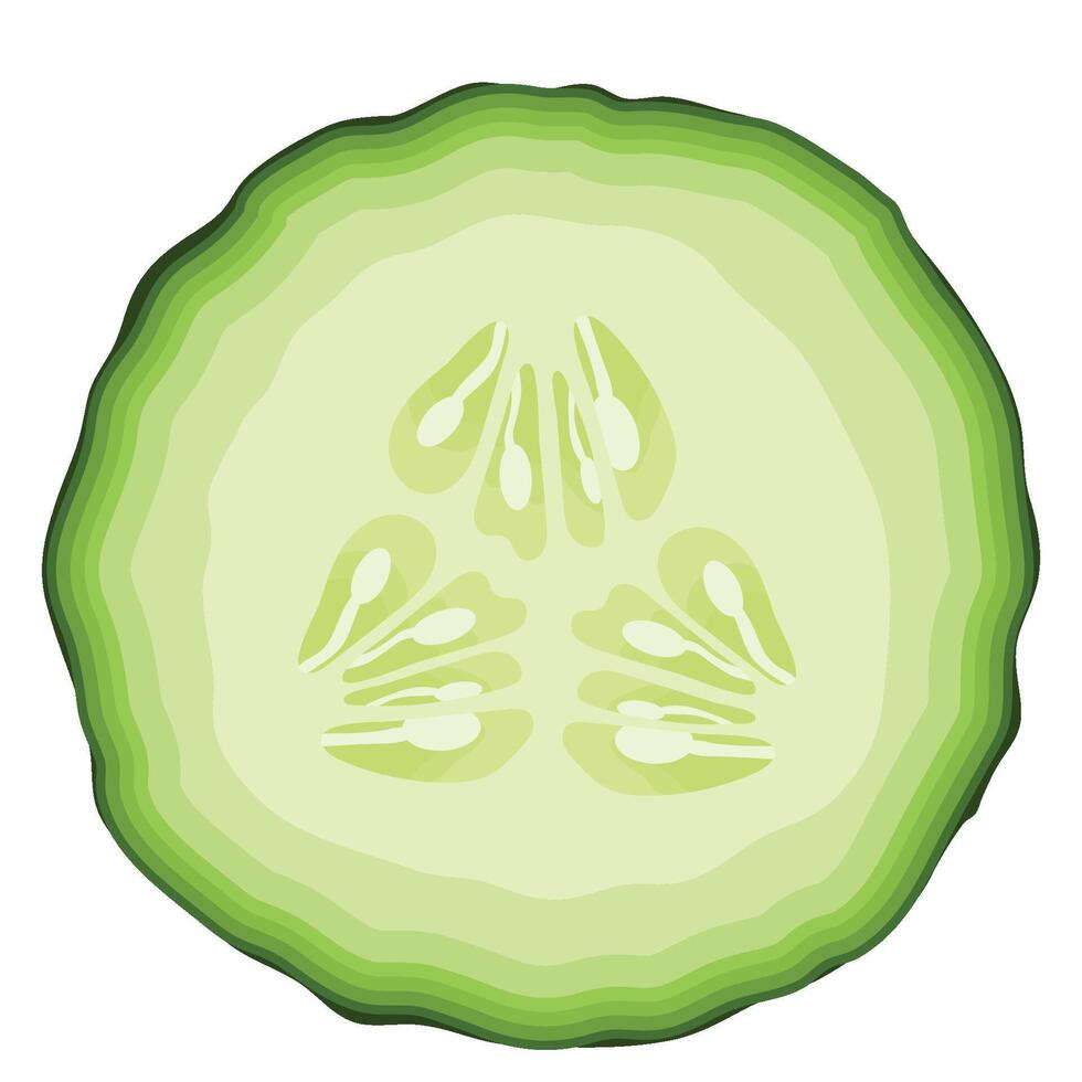 A Half Slice of Cucumber Vegetable Illustration vector