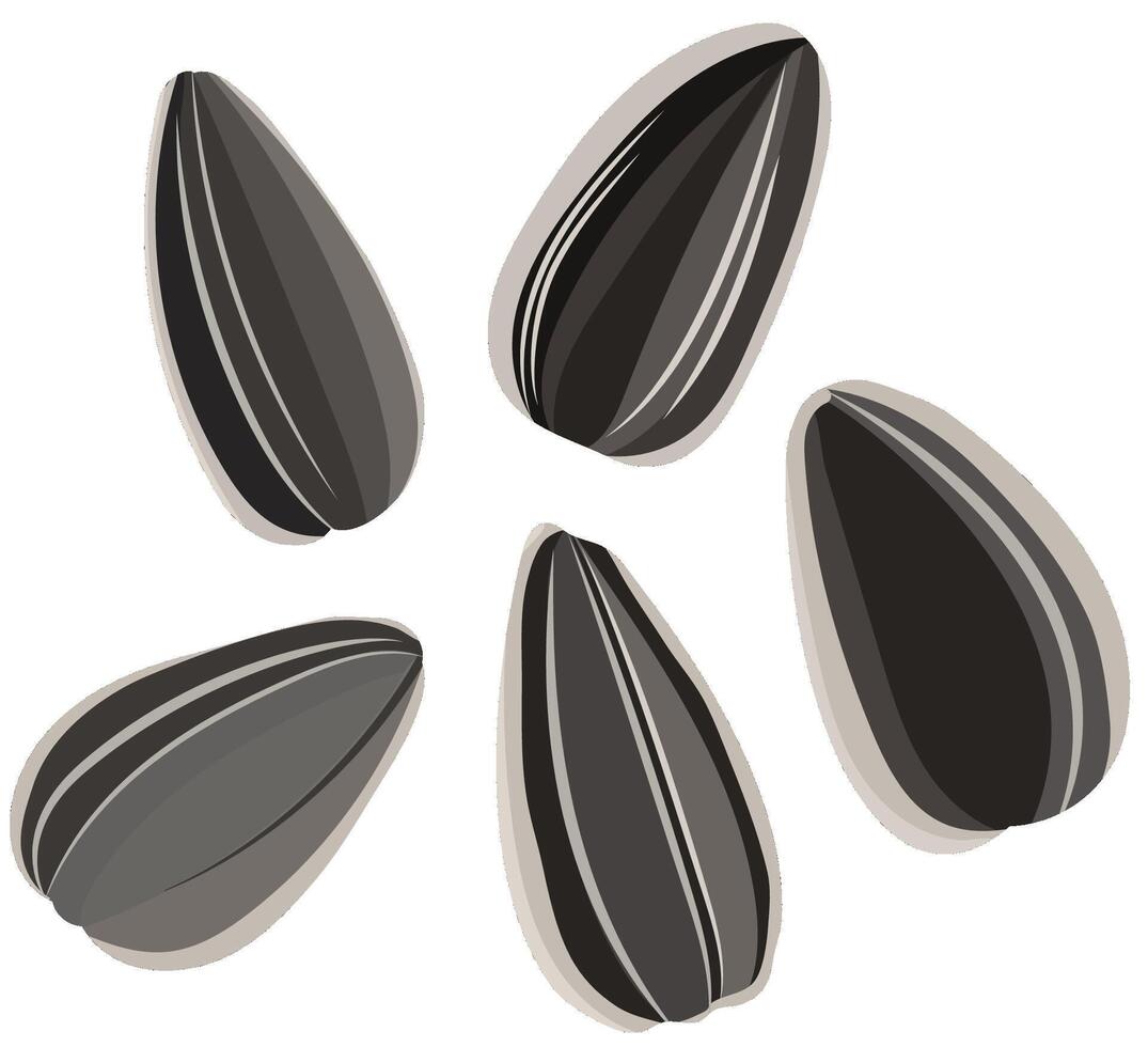 Sunflower Seed Snack Illustration vector