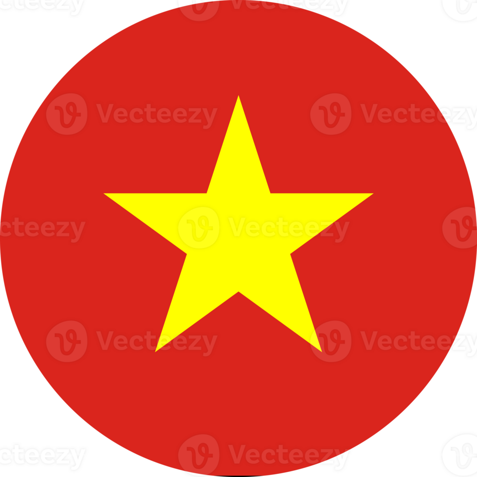 Vietnam flag button png
