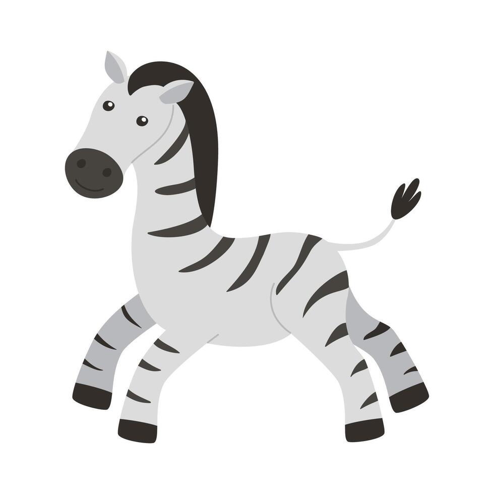 Cute zebra isolated on a white background. vector