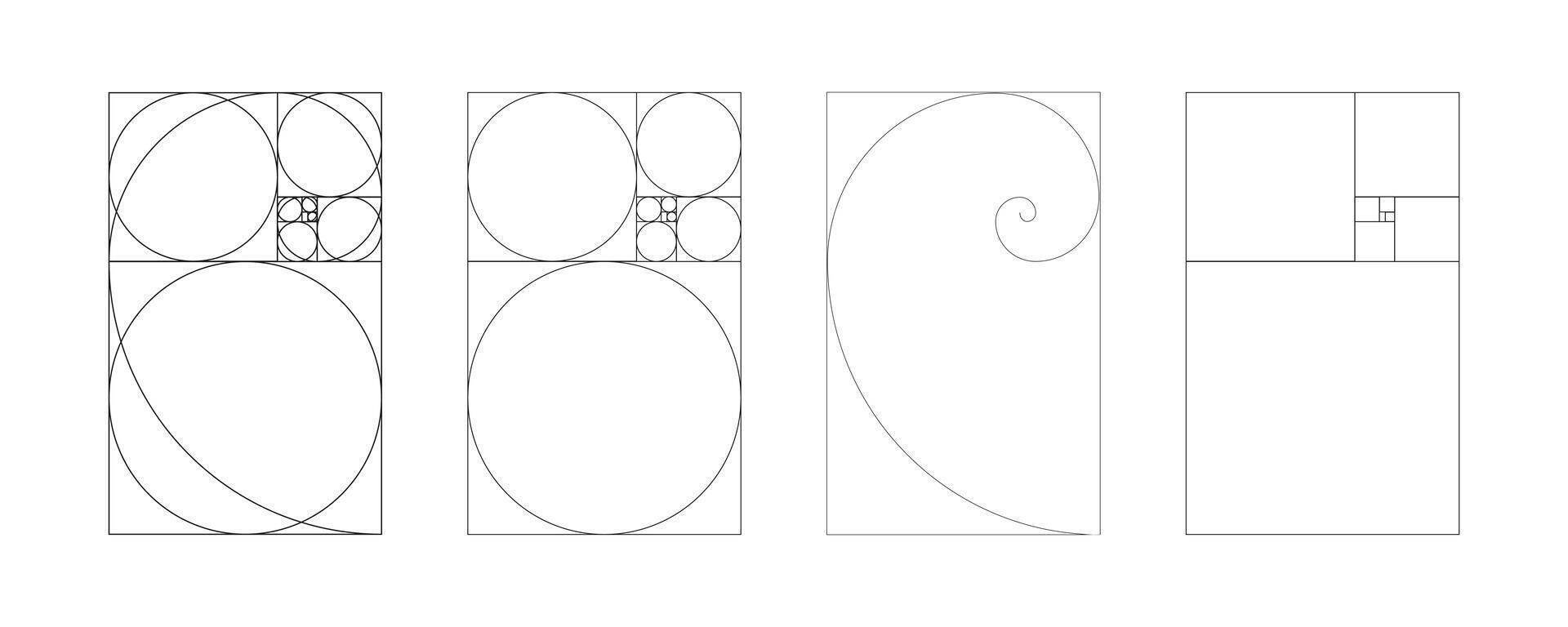 Golden ratio template. Method golden section set. Fibonacci array, numbers. Harmony proportions pattern. Outline graphic illustration. vector