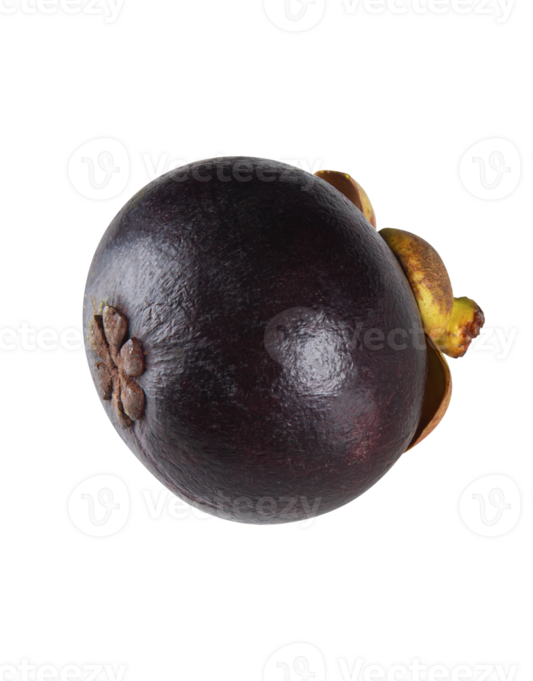 Mangosteen fresh fruit isolated png