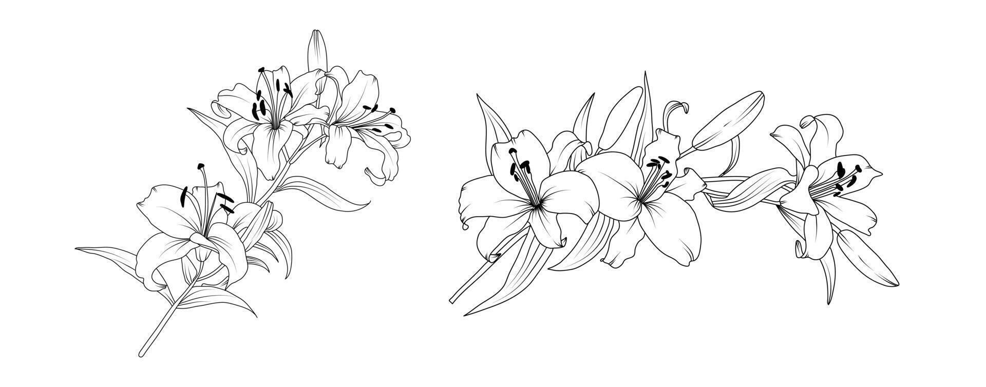 Lily flower arrangement line art on white background. Silhouette lilies botanical hand drawn element for wedding, invitation frame design illustration vector