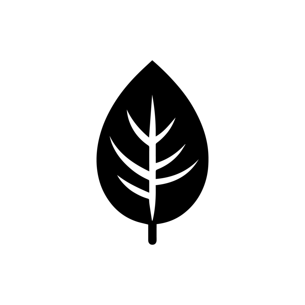 Illustration of Leaf icon png
