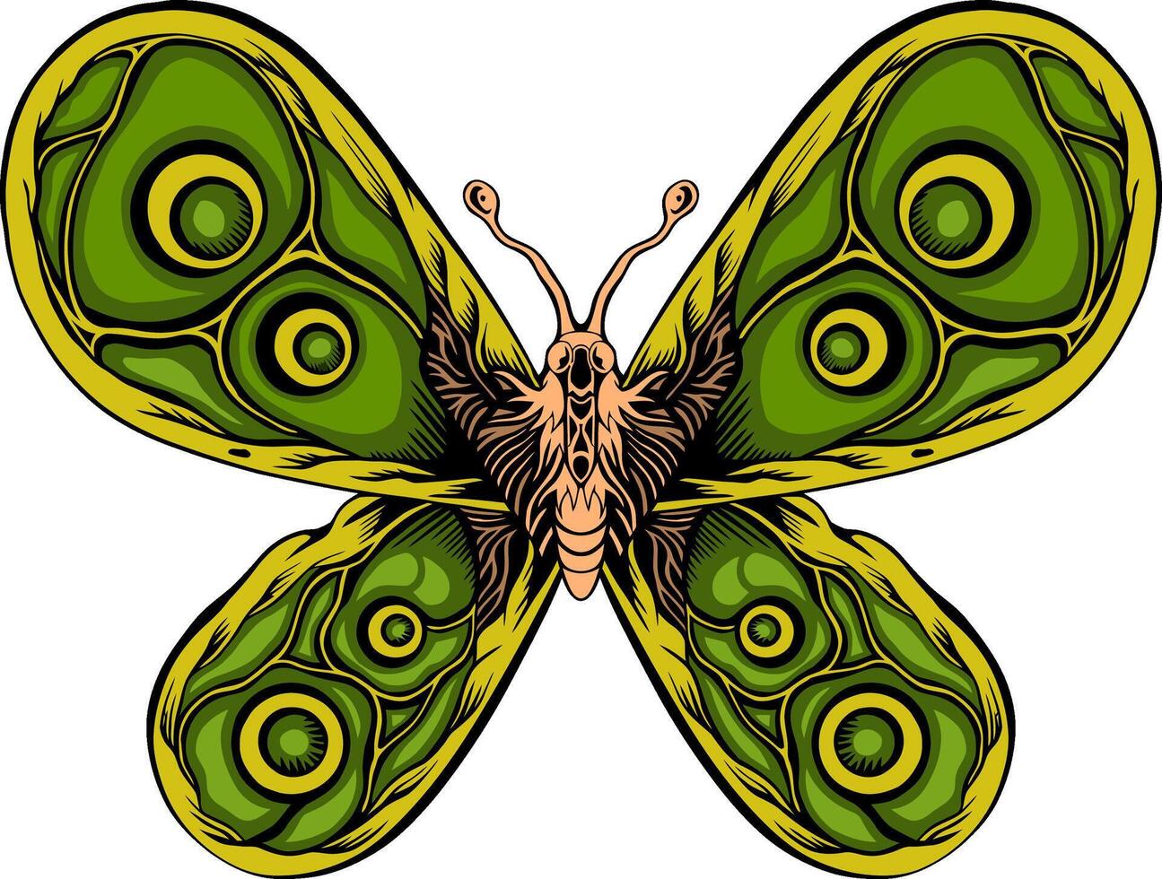 Beautiful classic style butterfly vector