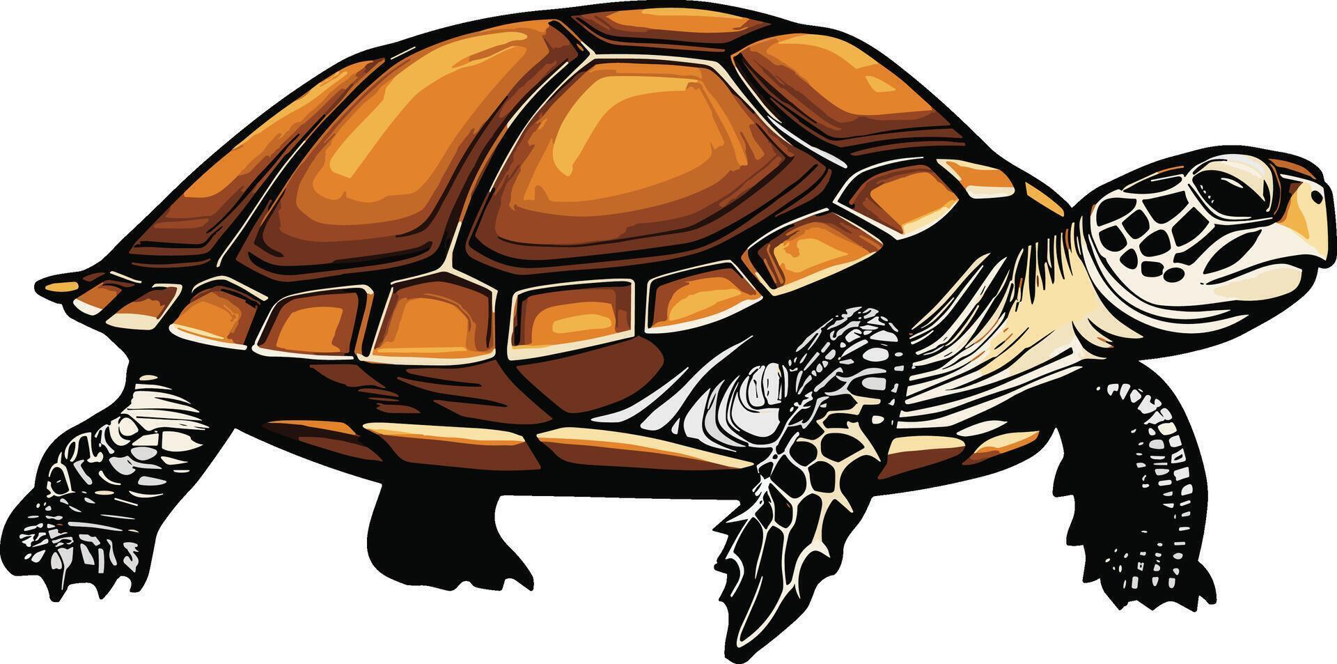 Minimalist Serene Turtle Art vector