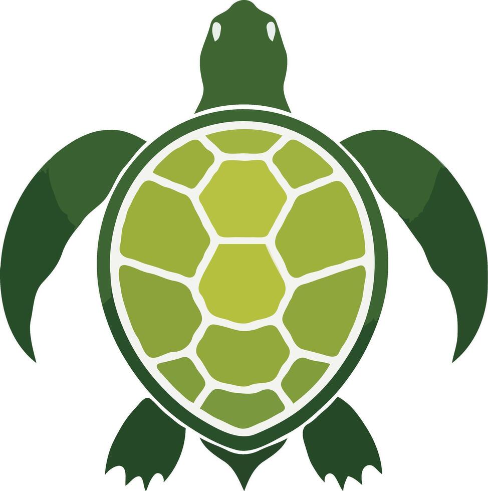 Marine Elegance, Sea Turtle Art vector