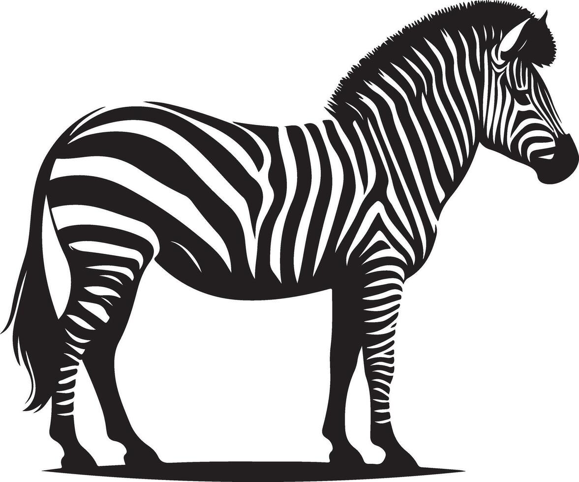 Zebra Silhouette illustration vector