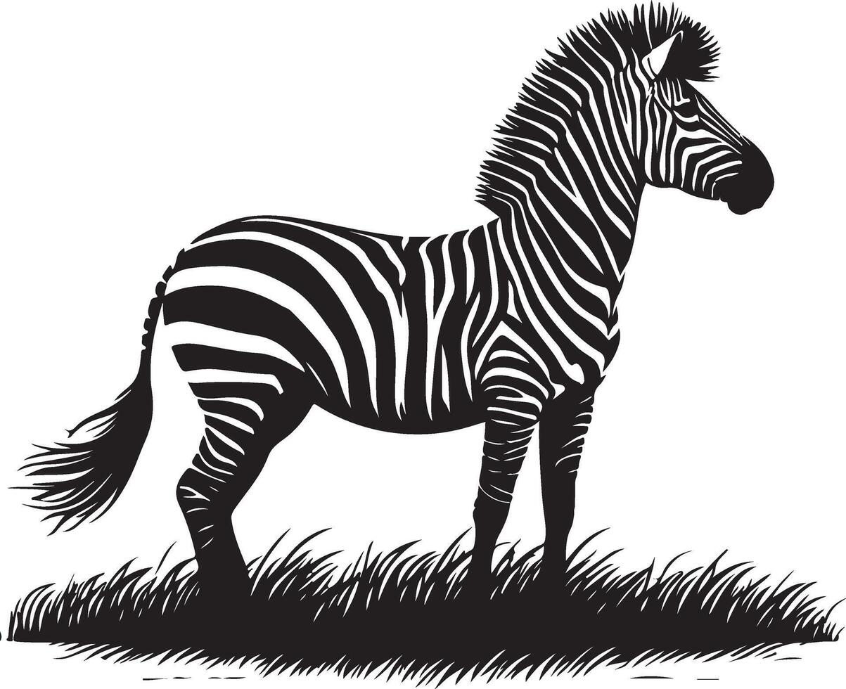 Zebra Silhouette illustration vector