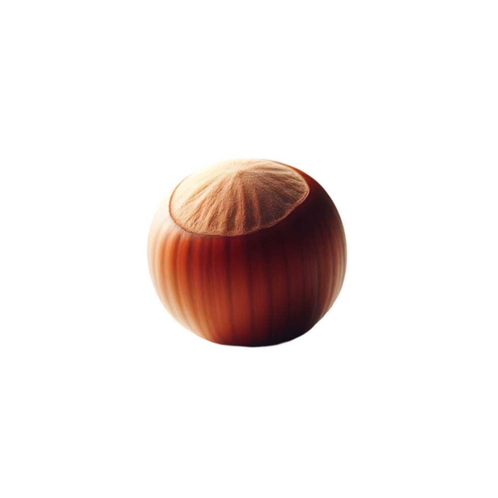 Nut on a transparent background png