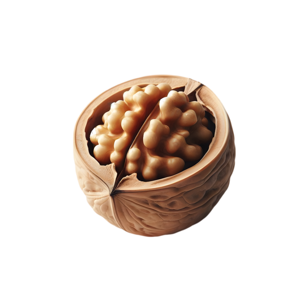 Walnut in a shell on a transparent background png
