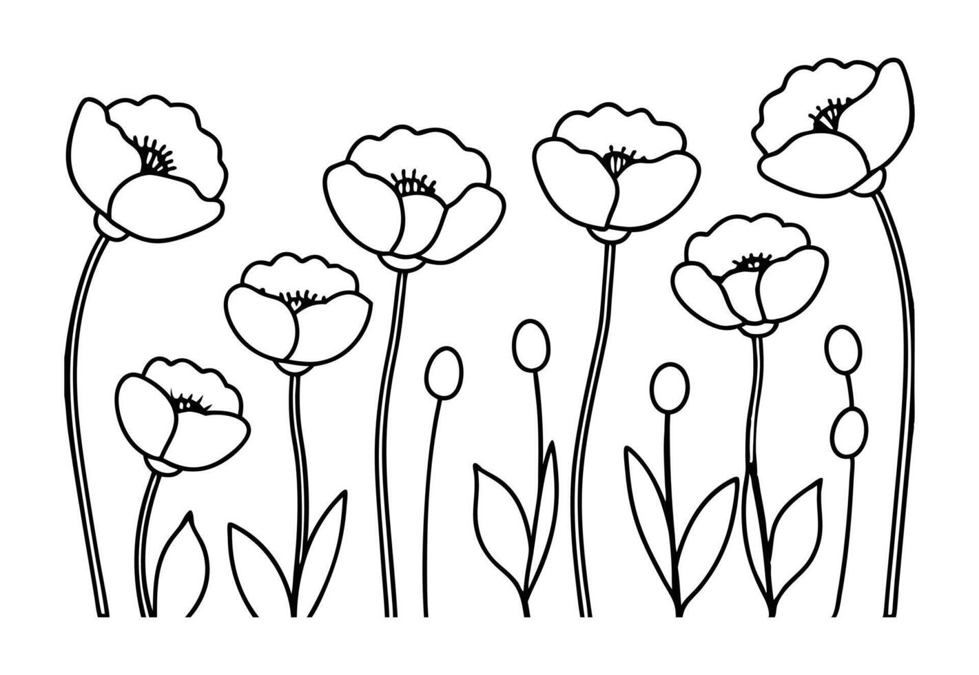 Vibrant Poppy Field Line Art Design vector