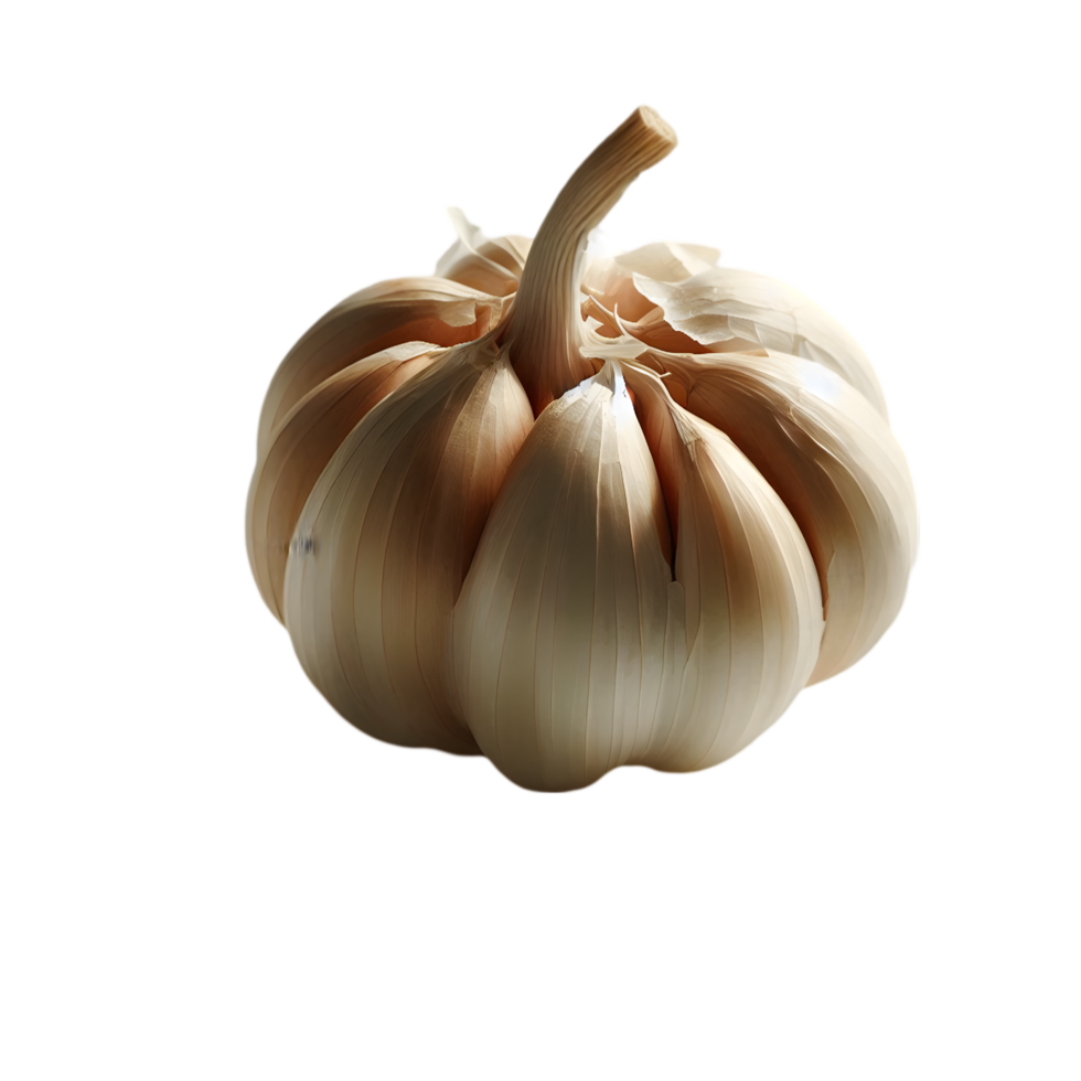 Garlic bulb on a transparent background png