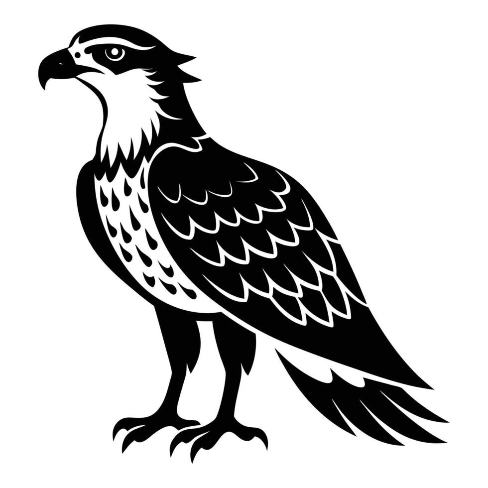 Osprey Bird Silhouette Art Design Illustration vector