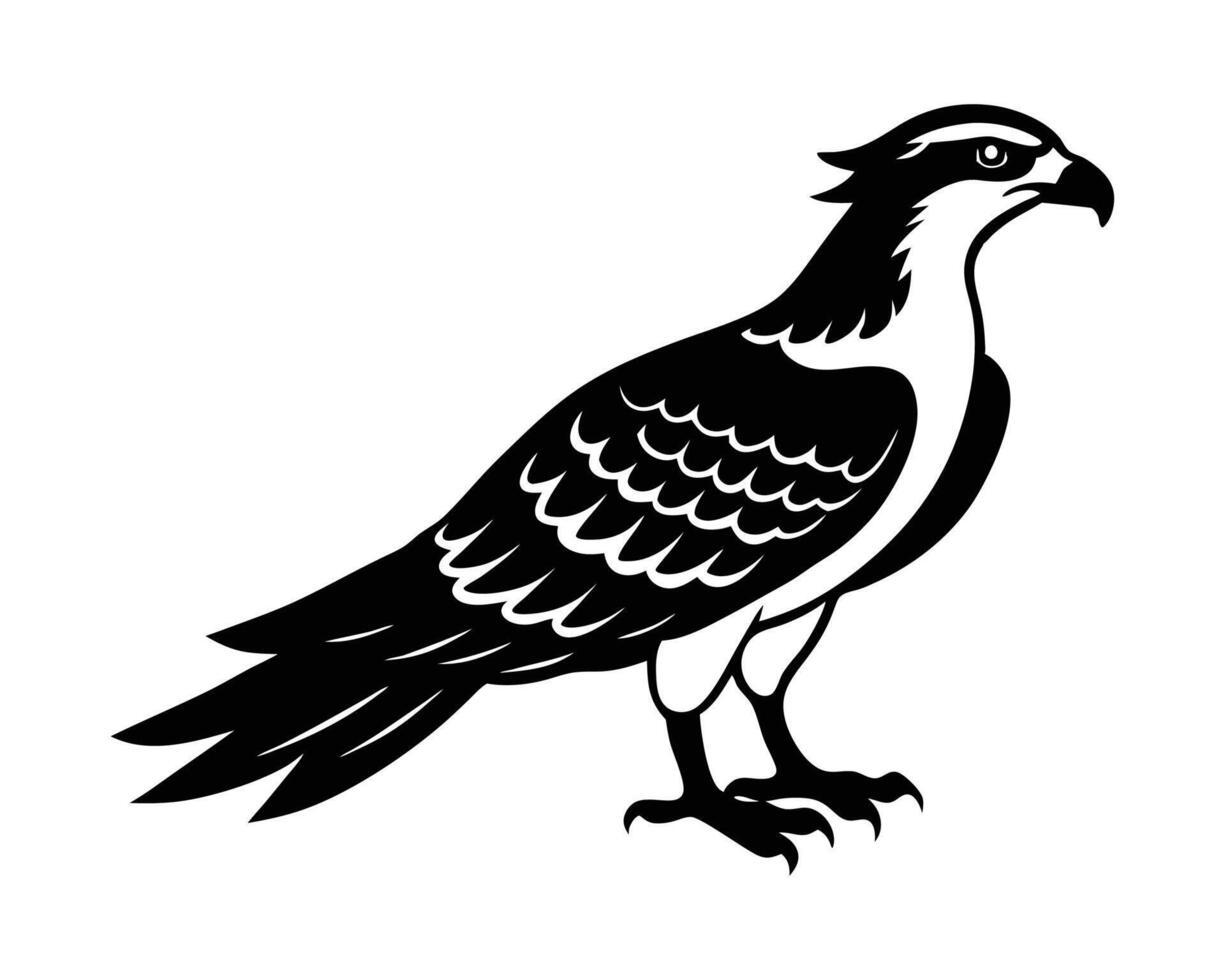 Osprey Bird Silhouette Art Design Illustration vector