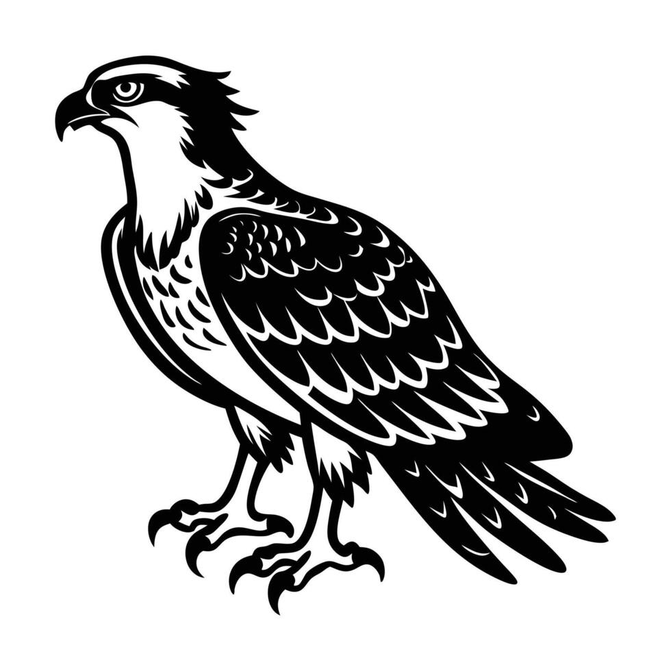 Osprey Bird Silhouette Art Design Illustration vector