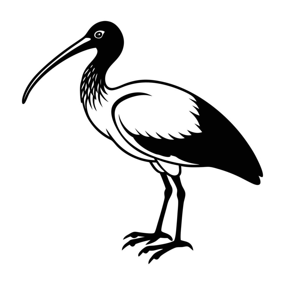 Ibis Bird Silhouette Art Design vector
