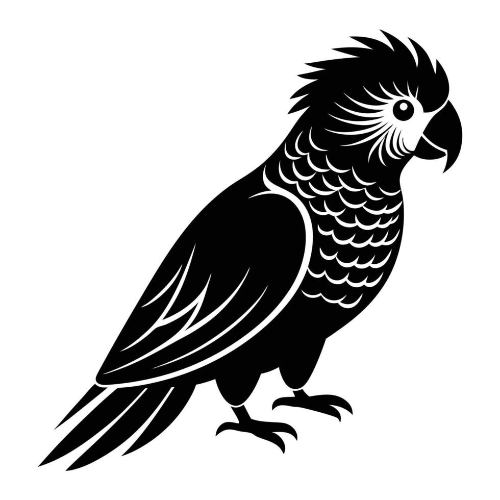 Lorikeet Bird Silhouette Art Design vector