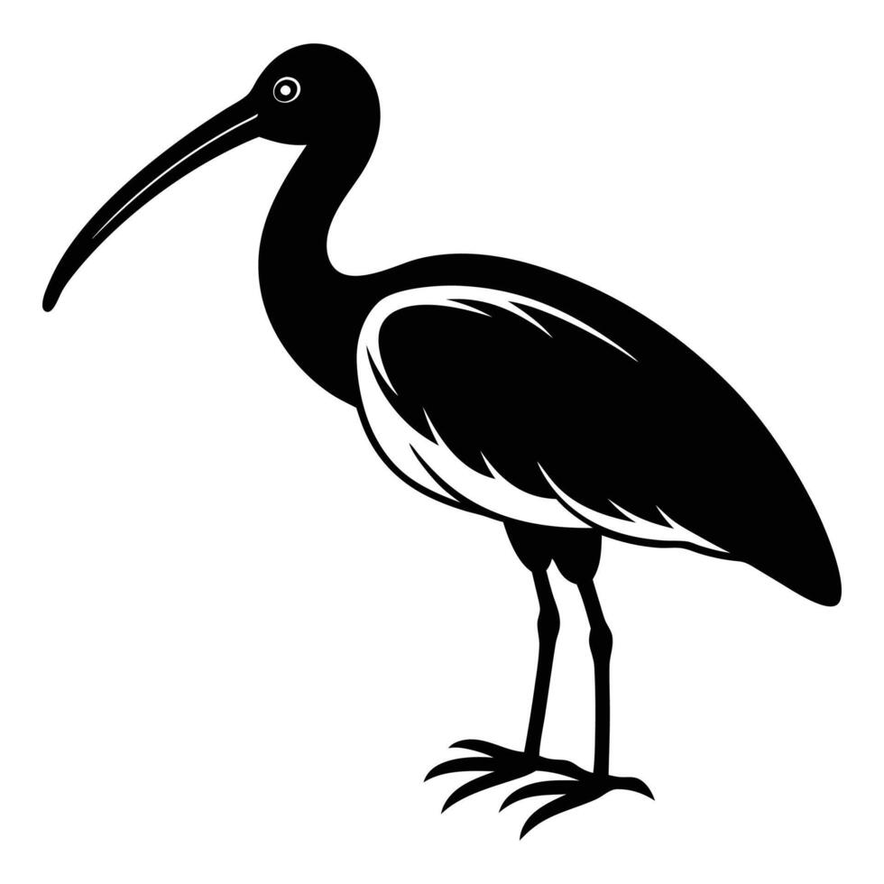 Ibis Bird Silhouette Art Design vector
