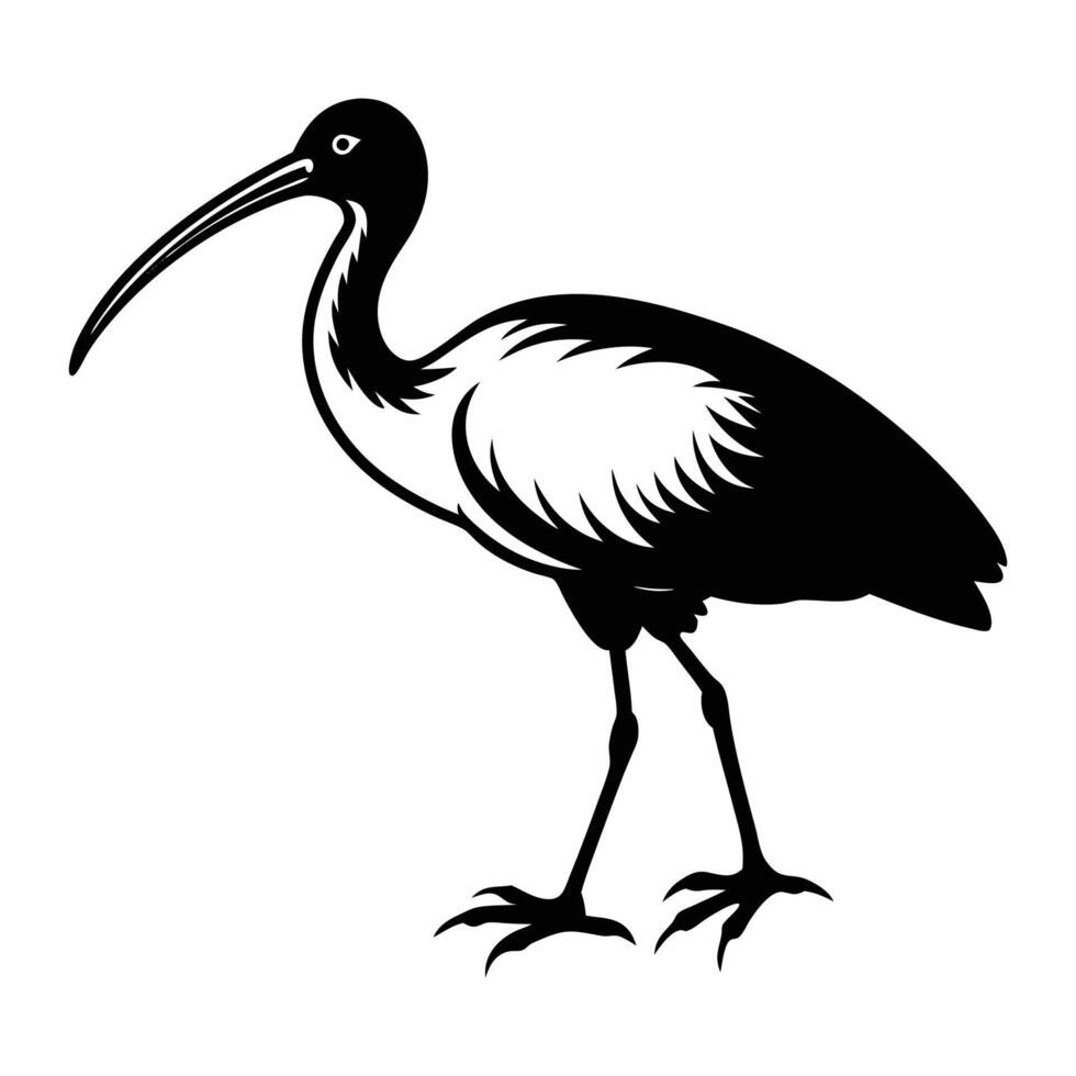 Ibis Bird Walking Silhouette Art vector
