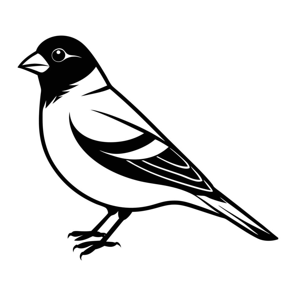 Greenfinch Bird Silhouette Art Design vector