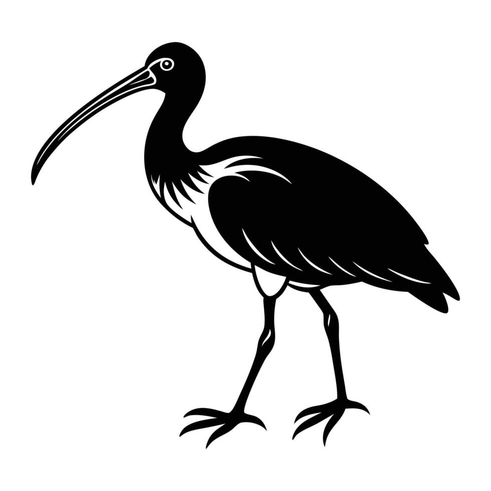 Ibis Bird Walking Silhouette Art vector