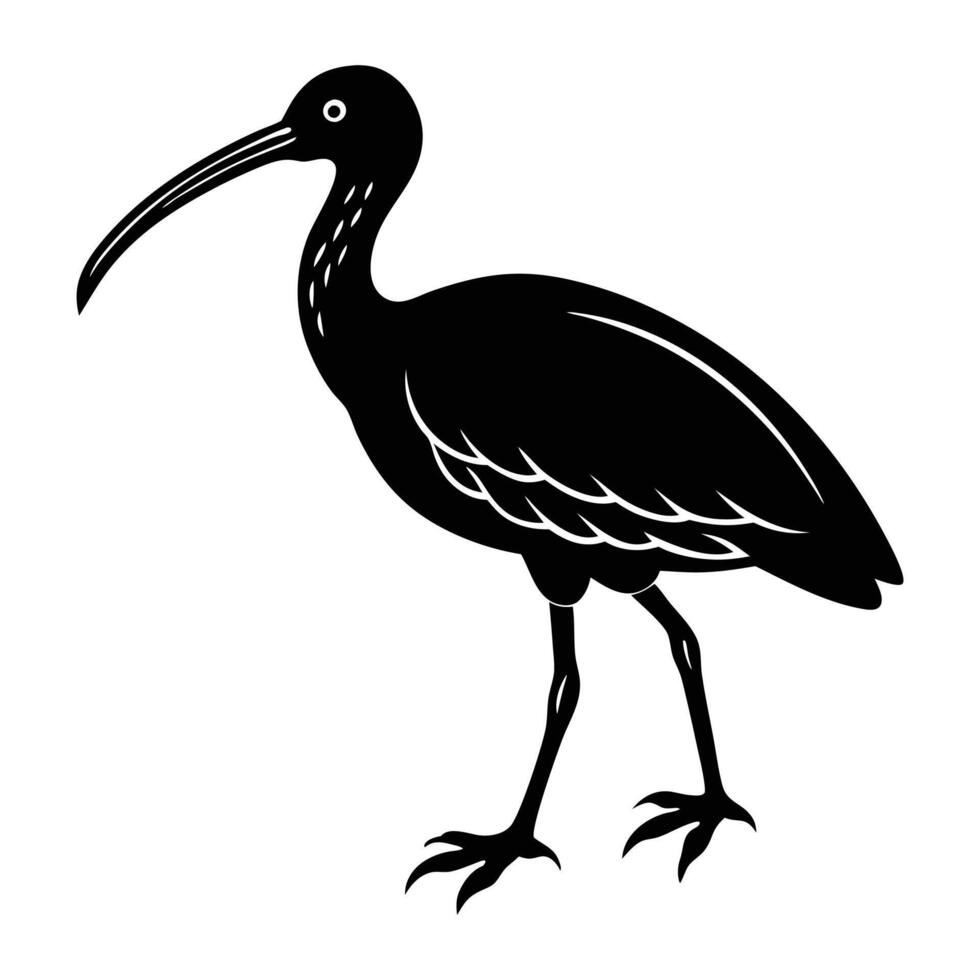 Ibis Bird Walking Silhouette Art vector