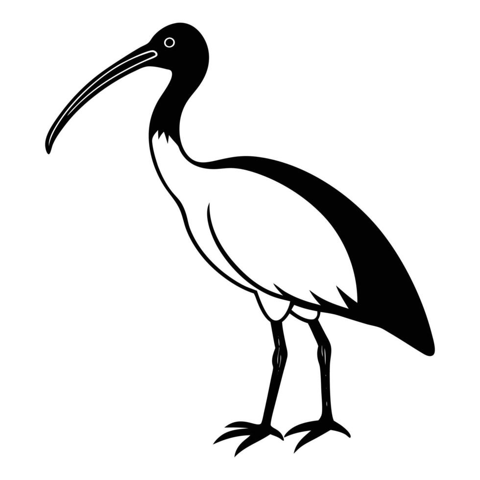 Ibis Bird Silhouette Art Design vector