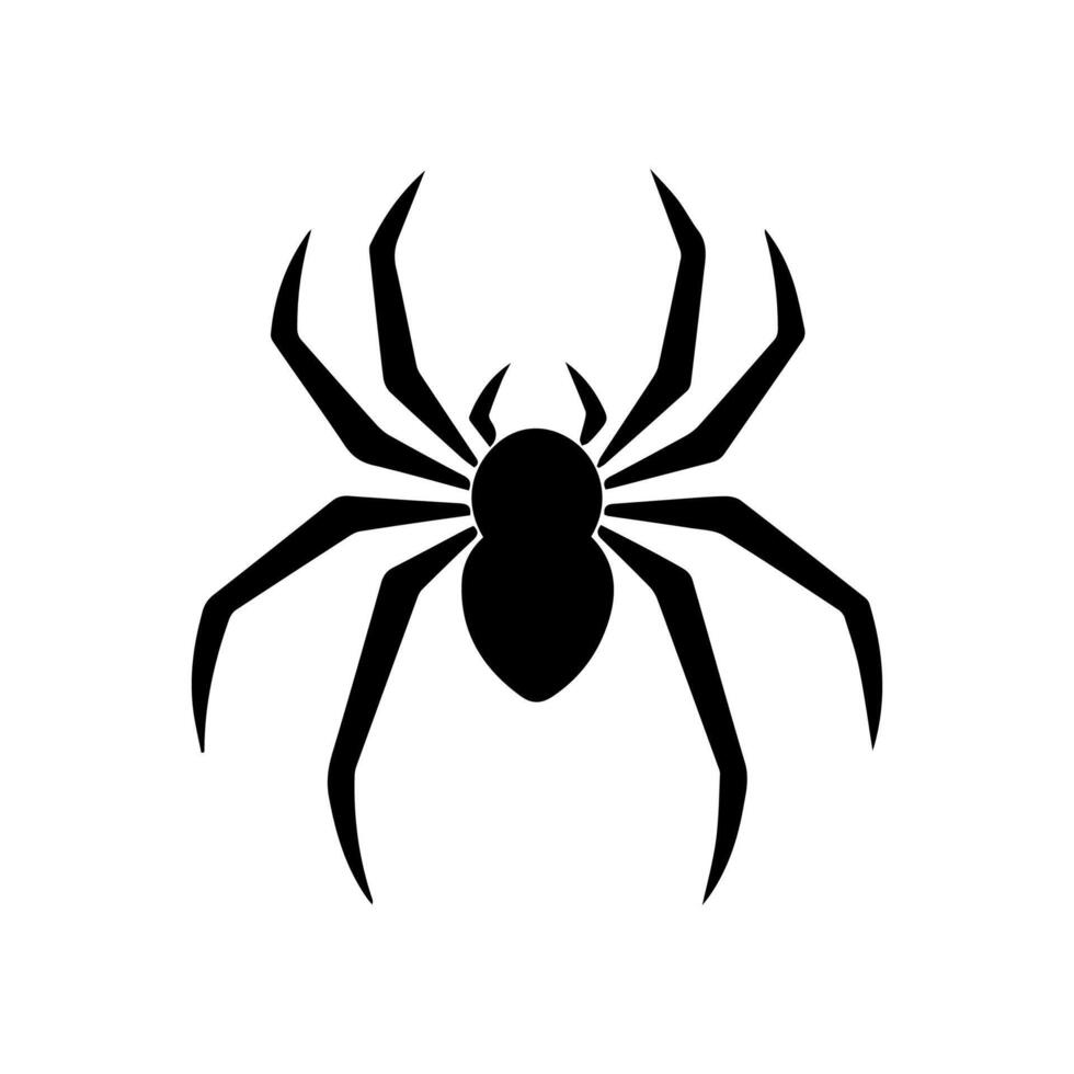 Spider icon or modern line symbol. vector