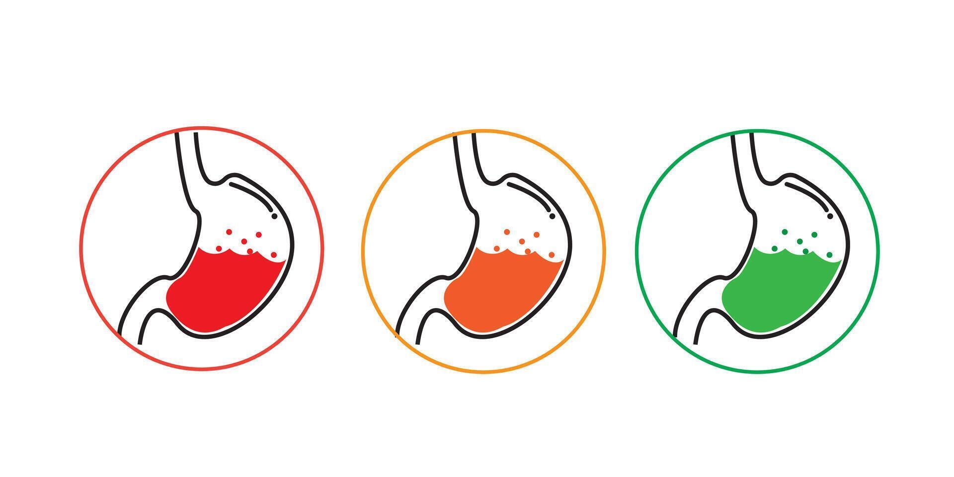 stomach icon set with three choise vector