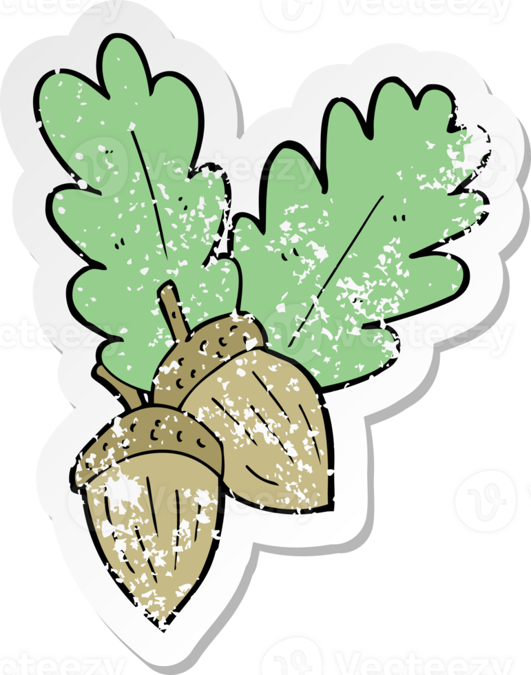 retro distressed sticker of a cartoon acorns drawing png