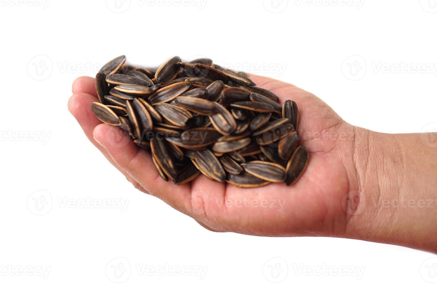 Hand hold sunflower seeds, isolated on white background. Concept, agriculture crops. Edible flower seeds as snack or food ingredient. Raw seeds can be grown to expand breed for next time growing. photo