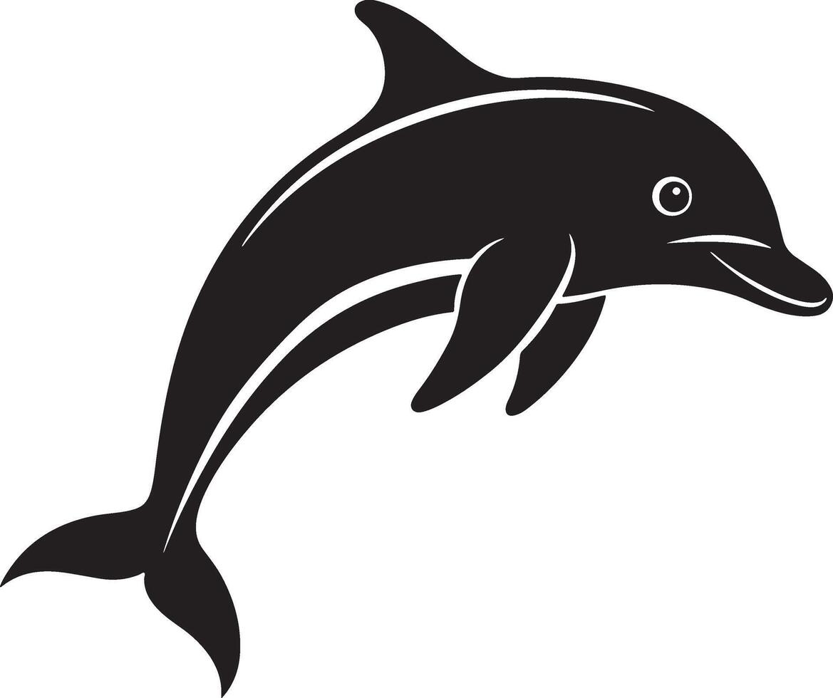 black Dolphins graphics illustration design vector
