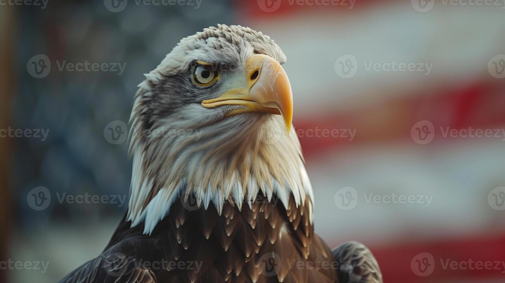 Majestic Bald Eagle Portrait with American Flag Background, Symbolizing Freedom and Strength, Patriotic Theme, Wildlife Photography for Independence Day and National Parks, Close-Up View photo