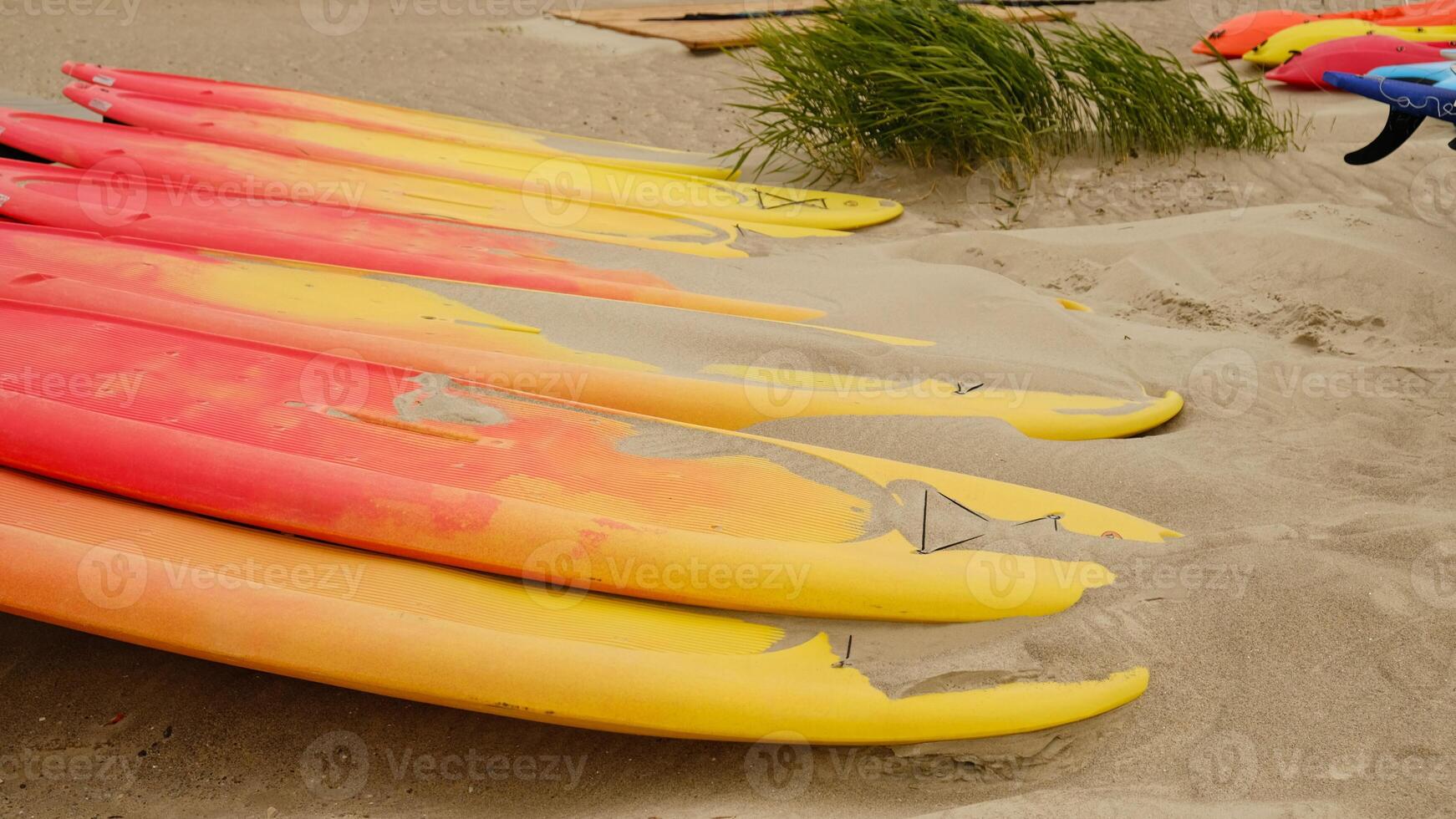 SUP boards in the row for rent on a sandy beach by the sea. Surfing and paddleboard equipment close-up. Abstract background from summer travel. Sports recreation. photo