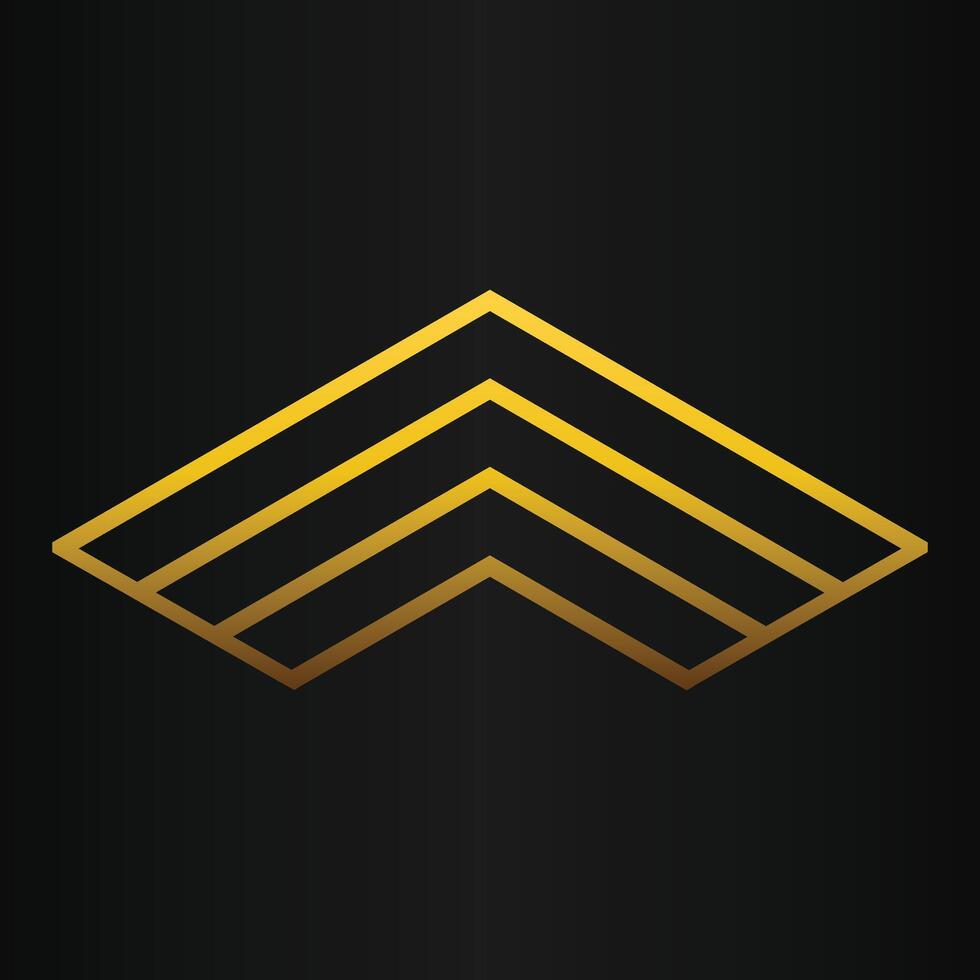 golden geometry design on black background vector