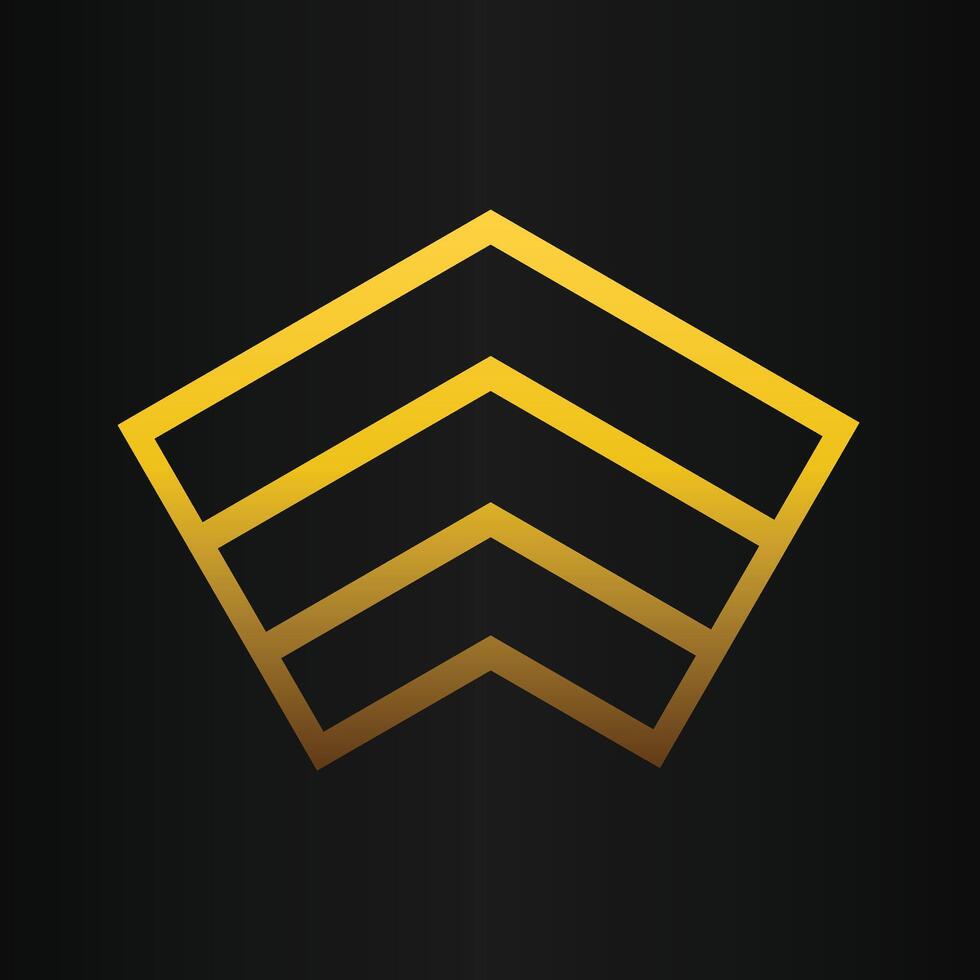 golden geometry design on black background vector