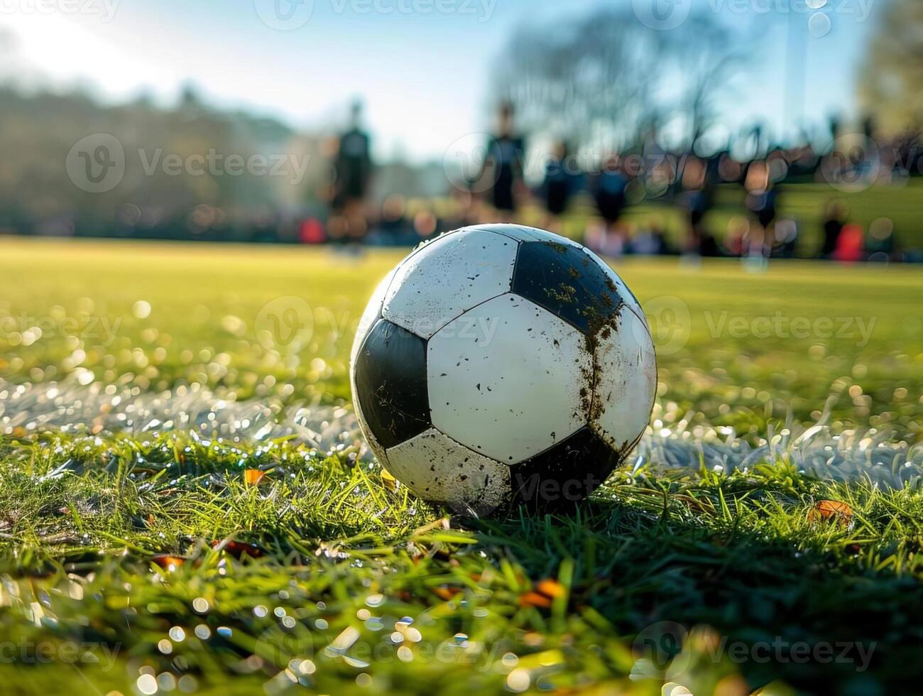 Classic black and white soccer ball is lying on the grass of a football pitch during a match photo