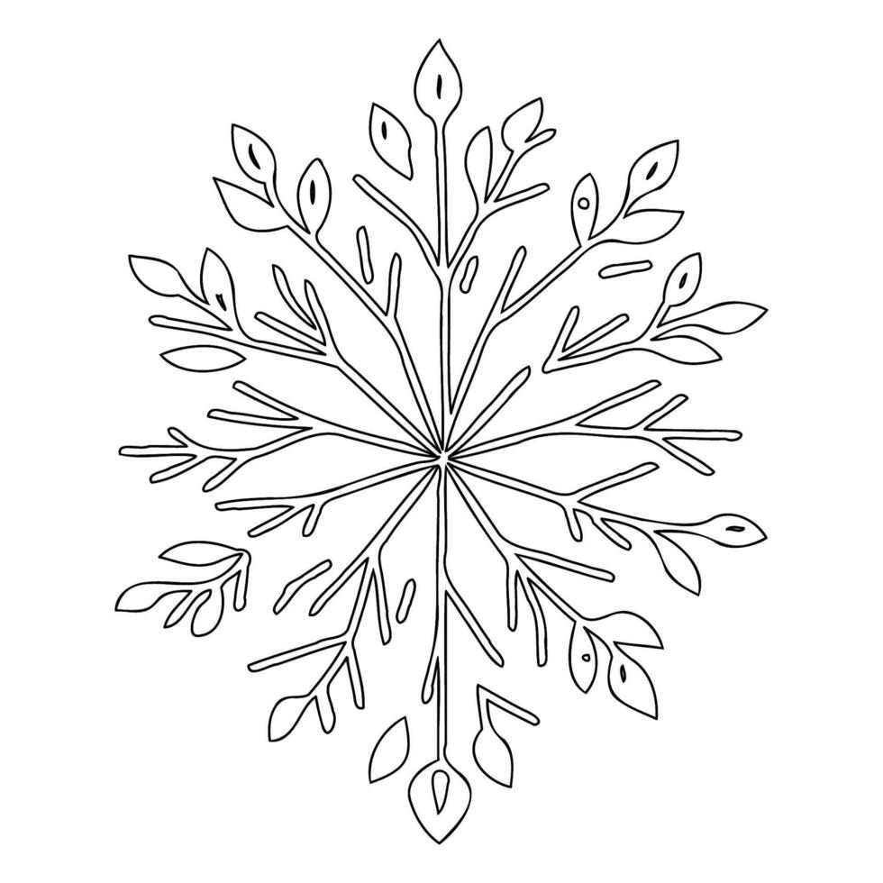 snowflake winter outline illustration sketch vector