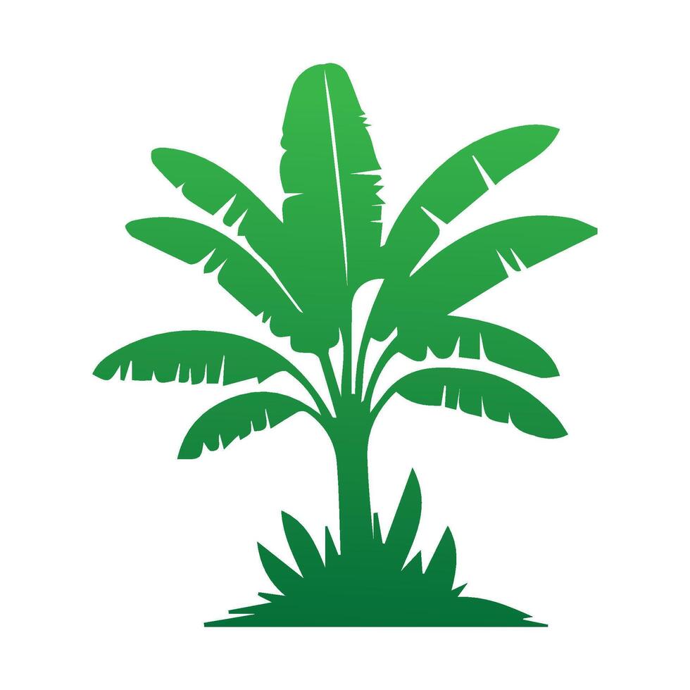 Banana Tree Silhouette Icon. Illustration of Banana Tree. Banana tree with fruit symbol. Banana tree sign. vector