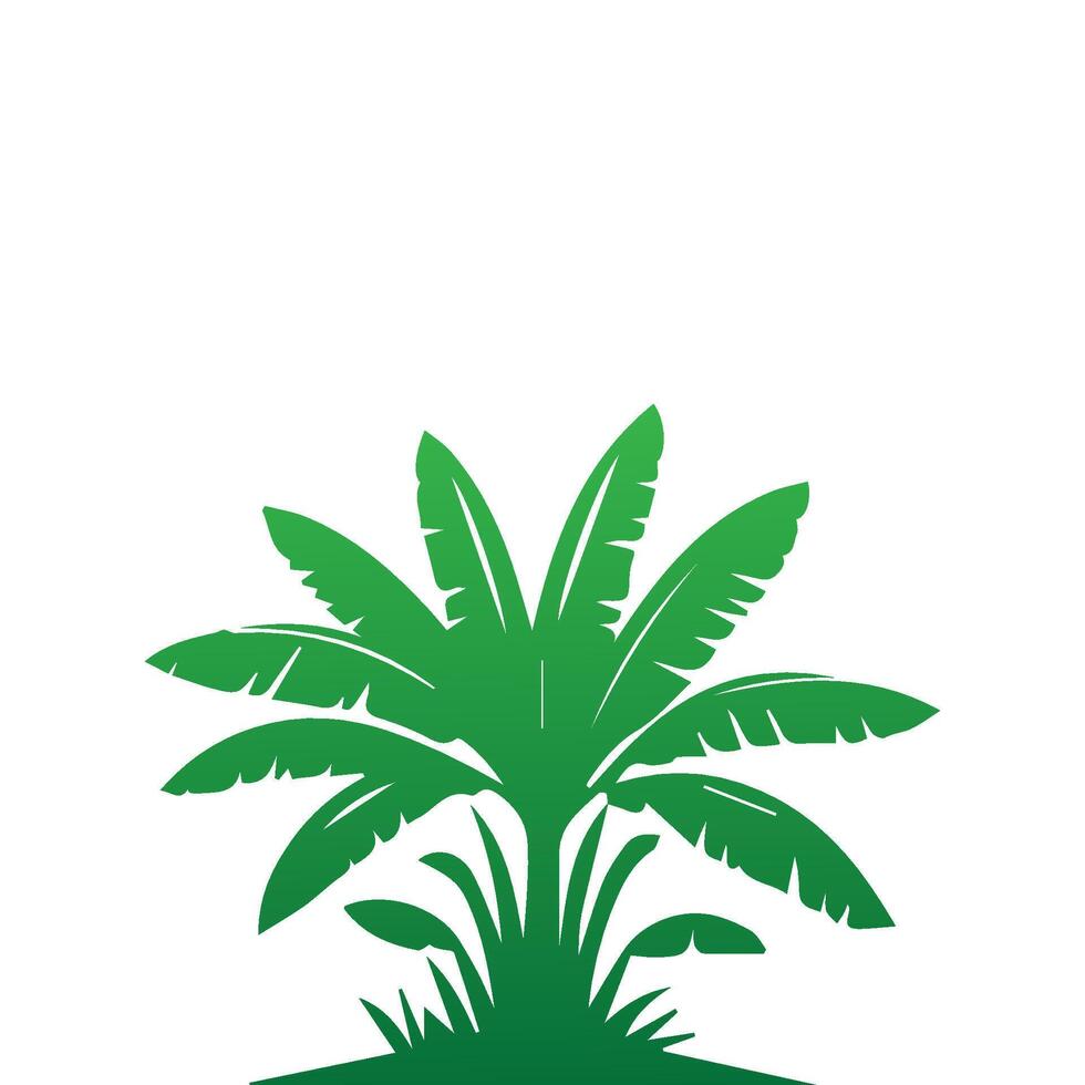 Banana Tree Silhouette Icon. Illustration of Banana Tree. Banana tree with fruit symbol. Banana tree sign. vector