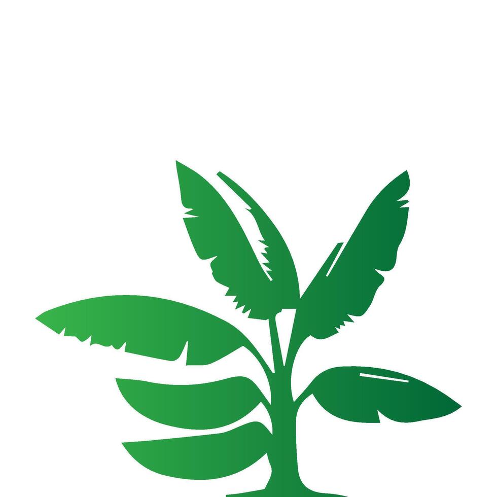 Banana Tree Silhouette Icon. Illustration of Banana Tree. Banana tree with fruit symbol. Banana tree sign. vector