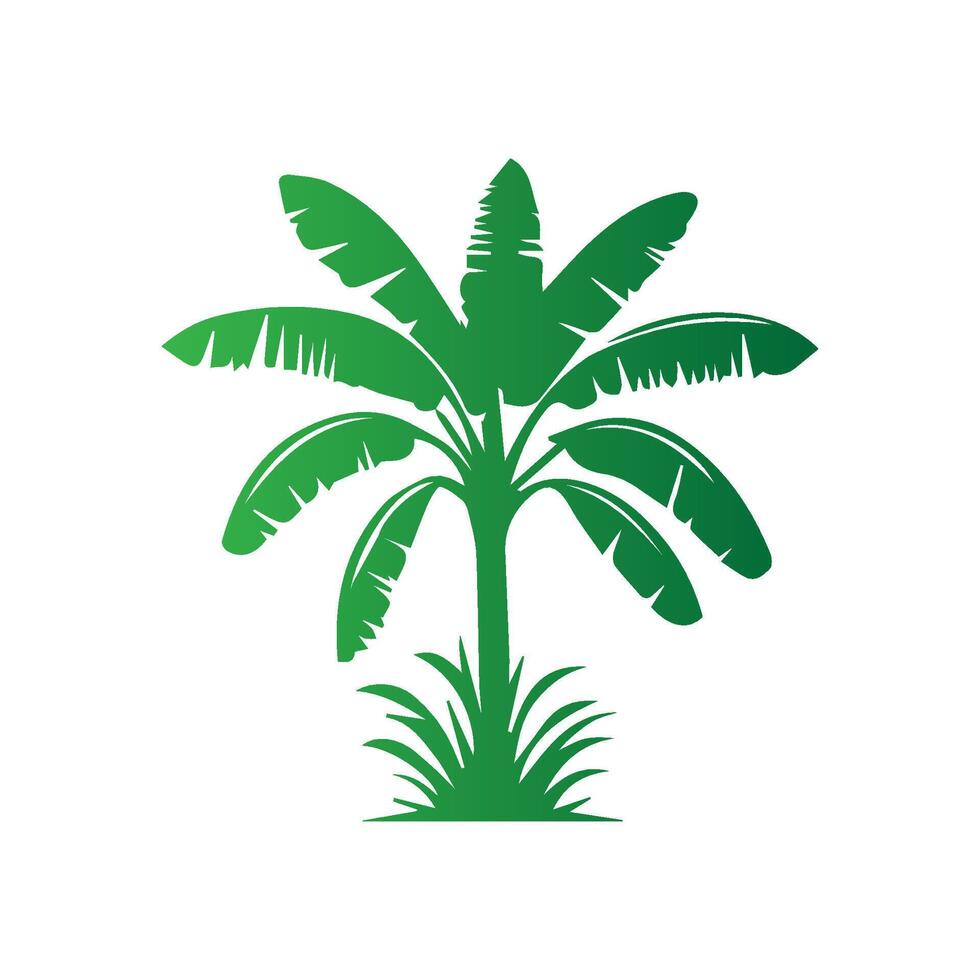Banana Tree Silhouette Icon. Illustration of Banana Tree. Banana tree with fruit symbol. Banana tree sign. vector