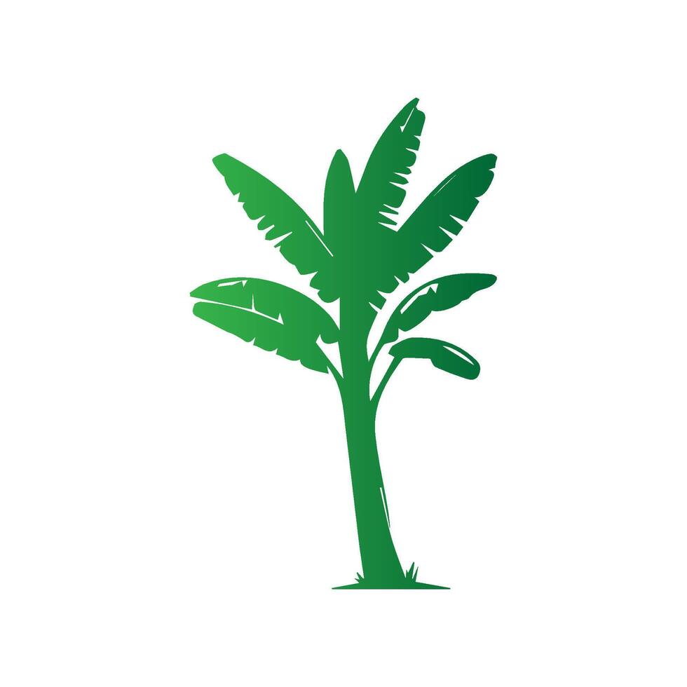 Banana Tree Silhouette Icon. Illustration of Banana Tree. Banana tree with fruit symbol. Banana tree sign. vector